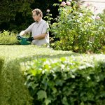 Bosch AHS 50-16 Electric Hedge Trimmer Review