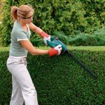 Bosch AHS 41 Accu Cordless Hedge Trimmer Review