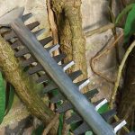 Hedge Trimmer Blades: Care and Sharpening