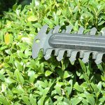 How to Lubricate Hedge Trimmer Blades