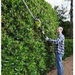 Ryobi ONE+ 18V OPT1845 Cordless Pole Hedge Trimmer Review